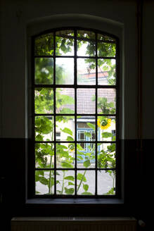 Deutschland, Brandenburg, Potsdam, Gebäude durch verglastes Fenster im Sommer gesehen - ASCF01720