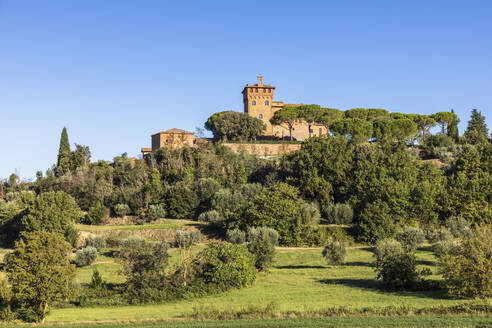 Italien, Toskana, Pienza, Grüne Bäume rund um das Weingut Palazzo Massaini im Sommer - FOF13501