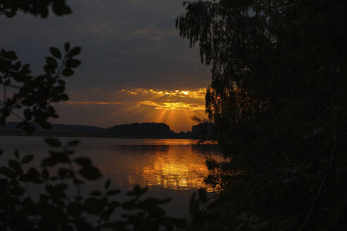 See mit Spiegelung inmitten von Silhouettenpflanzen bei Sonnenuntergang - LLUF01066
