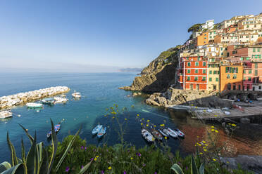 Italy, Liguria, Riomaggiore, Edge of coastal town along Cinque Terre - FOF13510