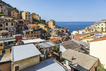 Italien, Ligurien, Riomaggiore, Dächer der Küstenstadt entlang der Cinque Terre - FOF13519