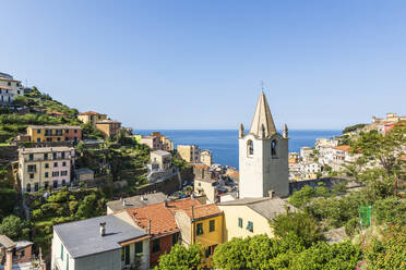 Italien, Ligurien, Riomaggiore, Häuser der Küstenstadt entlang der Cinque Terre mit Glockenturm der Kirche im Vordergrund - FOF13520
