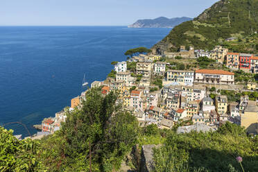 Italien, Ligurien, Riomaggiore, Blick auf das Küstenstädtchen entlang der Cinque Terre im Sommer - FOF13529