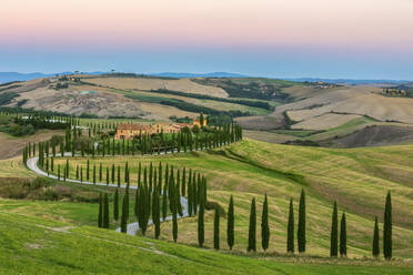 Italy, Tuscany, Treelined country road in summer at dawn - FOF13532