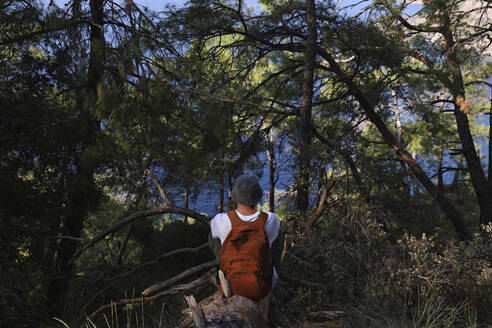 Wanderer sitzt mit Rucksack auf einem Baumstamm im Wald und schaut aufs Meer - SYEF00251