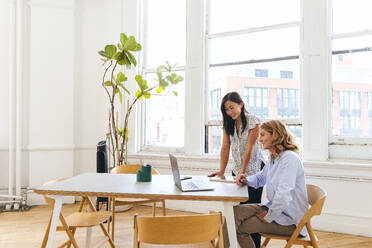 Smiling multiracial businesswoman looking at laptop with colleague - CAVF96632