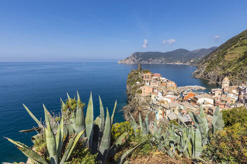 Italien, Ligurien, Vernazza, Blick auf die Küstenstadt mit Aloe im Vordergrund - FOF13550