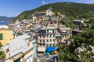 Italien, Ligurien, Vernazza, Küstenstadt entlang der Cinque Terre im Sommer - FOF13558