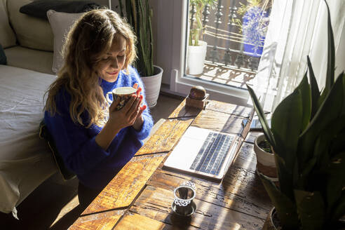 Frau trinkt Tee und arbeitet zu Hause am Laptop - RFTF00379