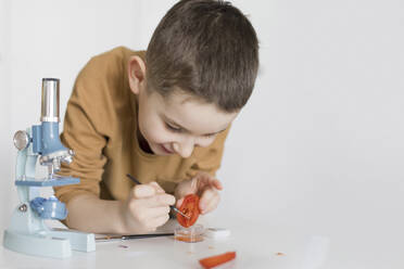 Neugieriger Junge, der sich auf einen Tisch lehnt und eine Tomatenscheibe unter dem Mikroskop untersucht - ONAF00435