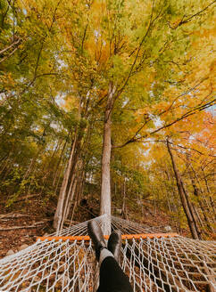 Feet of person laying in a hammock on a colorful fall day. - CAVF96675