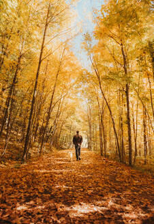 Man walking dog on colorful wooded trail on a sunny autumn day. - CAVF96676