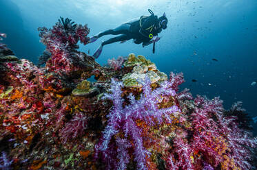 Taucher bei der Erkundung eines Korallenriffs in der südlichen Andamanensee / Thailand - CAVF96759