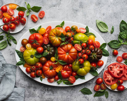 Draufsicht auf einen Teller mit Tomaten und Basilikum auf grauem Hintergrund. - CAVF96768