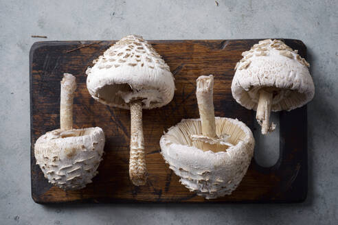 Mushrooms on a cutting board - CAVF96793