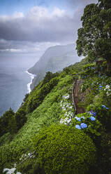 Stunning view of Azores ocean cliffs from Garden sossego path - CAVF96804