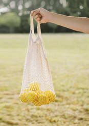 Hand of woman holding mesh bag with lemons - NDEF00406