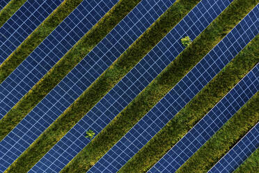 Luftaufnahme von Solarfeldern auf einem Grundstück bei Sonnenuntergang bei FPandL Solar Field Industries in Micco, Florida, Vereinigte Staaten. - AAEF17366