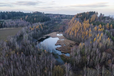 Luftaufnahme eines kleinen Sees im Wald in Milicin, Mittelböhmen, Tschechische Republik. - AAEF17427