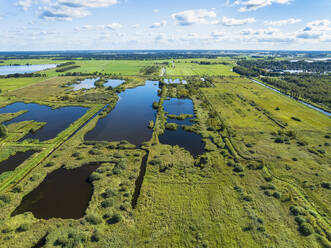 Luftaufnahme von Schilfgebiet, Büschen und Seen im Nationalpark De Alde Feanen, Earnewald, Friesland, Niederlande. - AAEF17451