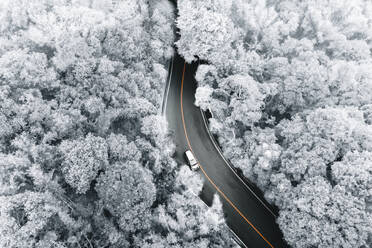 Aerial view of a vehicles driving a forest road in winter with snow, United States. - AAEF17477
