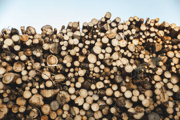 Stack of logs in front of sky - PCLF00251