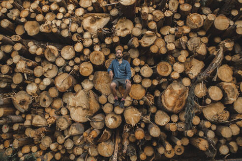 Mann sitzt auf einem Stapel Baumstämme auf einem Holzplatz - PCLF00255