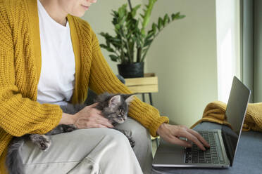 Freiberufler mit Laptop sitzt mit Katze im Büro zu Hause - SVKF01345