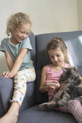 Girls playing with cat and camera at home - SVKF01358