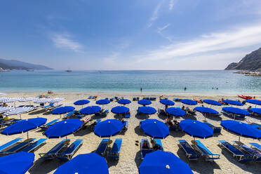 Italien, Ligurien, Monterosso al Mare, Reihen von Liegestühlen und Sonnenschirmen am Sandstrand der Cinque Terre - FOF13559