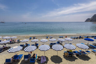 Italien, Ligurien, Monterosso al Mare, Reihen von Liegestühlen und Sonnenschirmen am Sandstrand der Cinque Terre - FOF13560