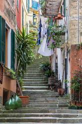 Italien, Ligurien, Monterosso al Mare, Stufen entlang der engen Stadtgassen - FOF13565