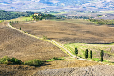 Italy, Tuscany, Pienza, Country road in Val dOrcia - FOF13568