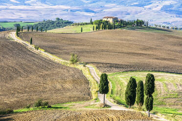 Italien, Toskana, Pienza, Landstraße im Val dOrcia - FOF13569