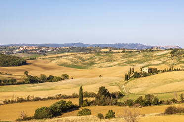 Italien, Toskana, Pienza, Ländliche Landschaft des Val dOrcia im Sommer - FOF13572