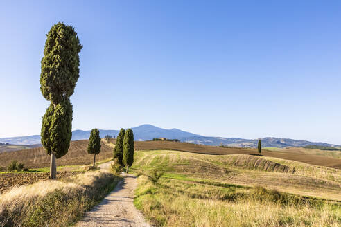 Italien, Toskana, Pienza, Wanderweg im Val dOrcia - FOF13573