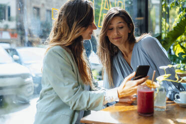 Woman sharing smart phone with friend in cafe - JOSEF17571