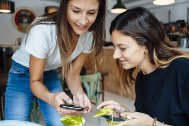 Frau teilt Smartphone mit Freund in Café - JOSEF17589