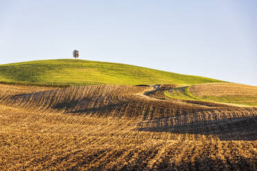 Italy, Tuscany, Rolling landscape of Val d'Orcia - FOF13598