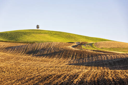 Italien, Toskana, Hügellandschaft des Val d'Orcia - FOF13598