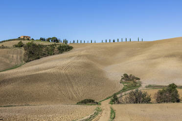 Italy, Tuscany, Rolling landscape of Val d'Orcia - FOF13604