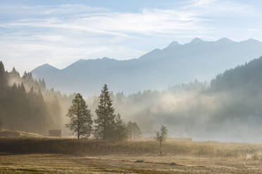 Deutschland, Bayern, Nebelschwaden über dem Geroldsee - RUEF03993