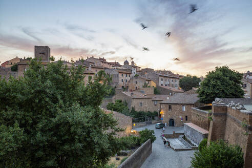 Italien, Latium, Tuscania, Vogelschwarm fliegt über mittelalterliche Stadt in der Abenddämmerung - MAMF02669