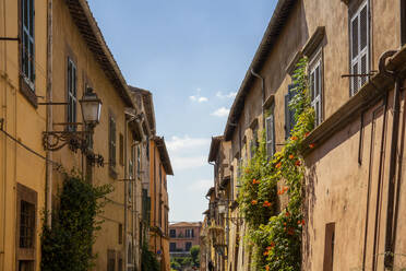 Italien, Latium, Toskana, Reihen von historischen Stadthäusern im Sommer - MAMF02676