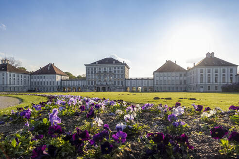 Deutschland, Bayern, München, Blumenbeet vor dem Schloss Nymphenburg bei Sonnenuntergang - MAMF02698