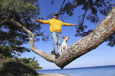 Mann balanciert mit Hund auf einem Baumast am Meer - SYEF00311