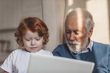 Grandfather and grandson using laptop at home - MDOF00886