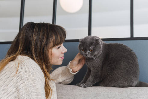Frau mit braunem Haar streichelt Katze, die zu Hause auf dem Sofa sitzt - PNAF05041