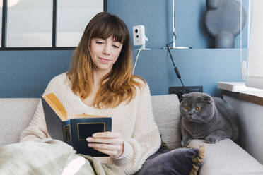 Eine Frau liest ein Buch und sitzt mit ihrer Katze auf dem Sofa zu Hause - PNAF05051