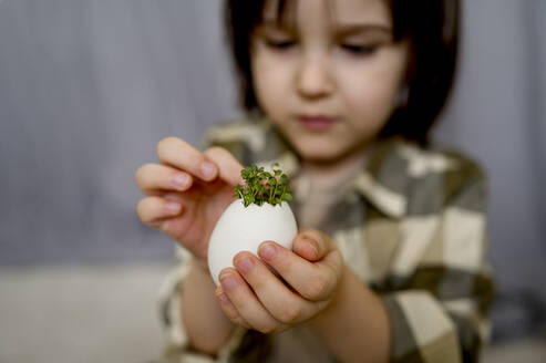 Junge begutachtet Setzling in weißer Eierschale - ANAF01106